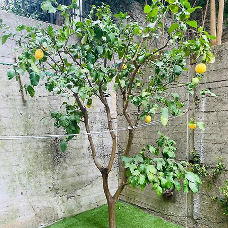 Lemon Tree Resort - Freeparking - Garden Genova Exterior foto